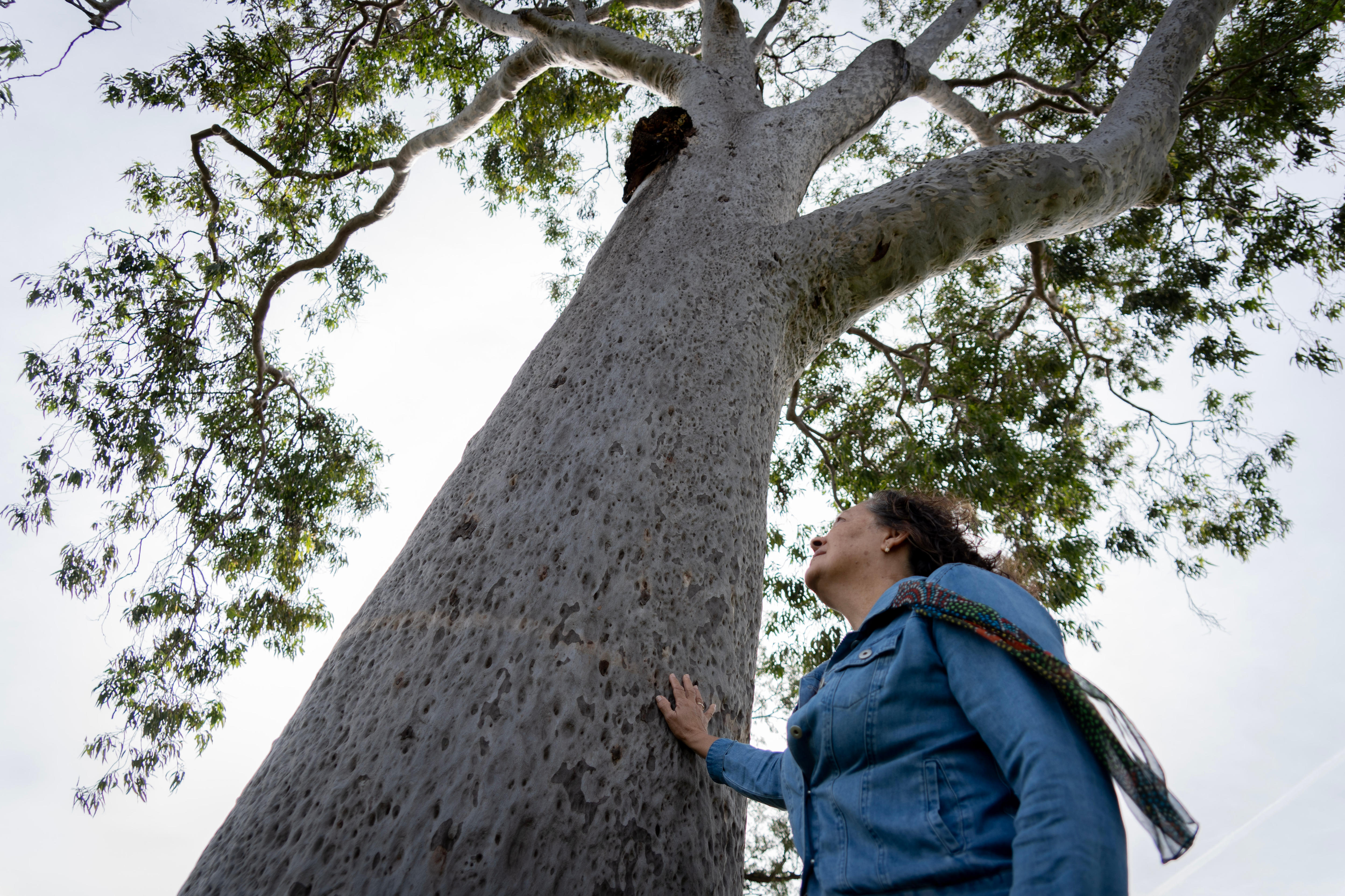 A woman in a blue jacket leaning a hand on a large tree.