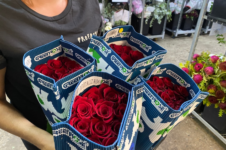 Bunches of red roses in cardboard holders