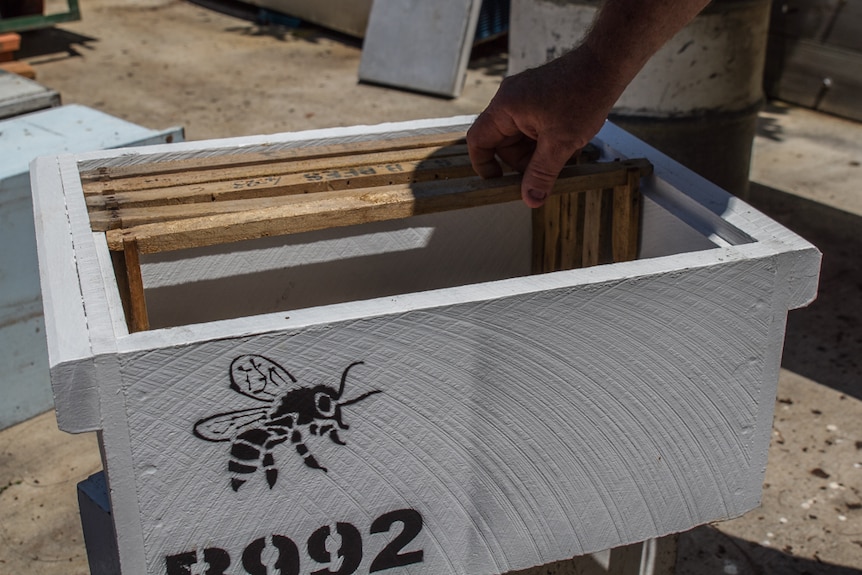 Each of the beehives is numbered before being taken out and placed in locations across the island.
