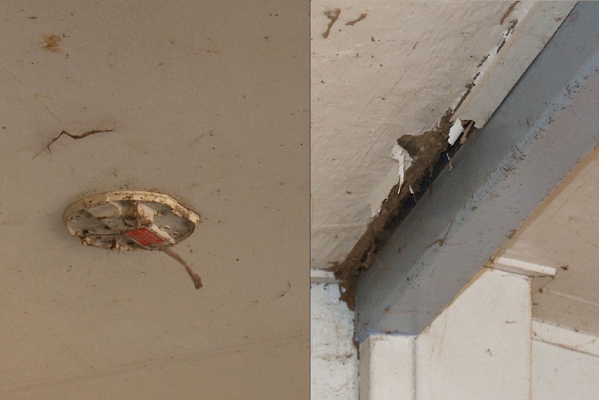 Smoke alarm and termite damage