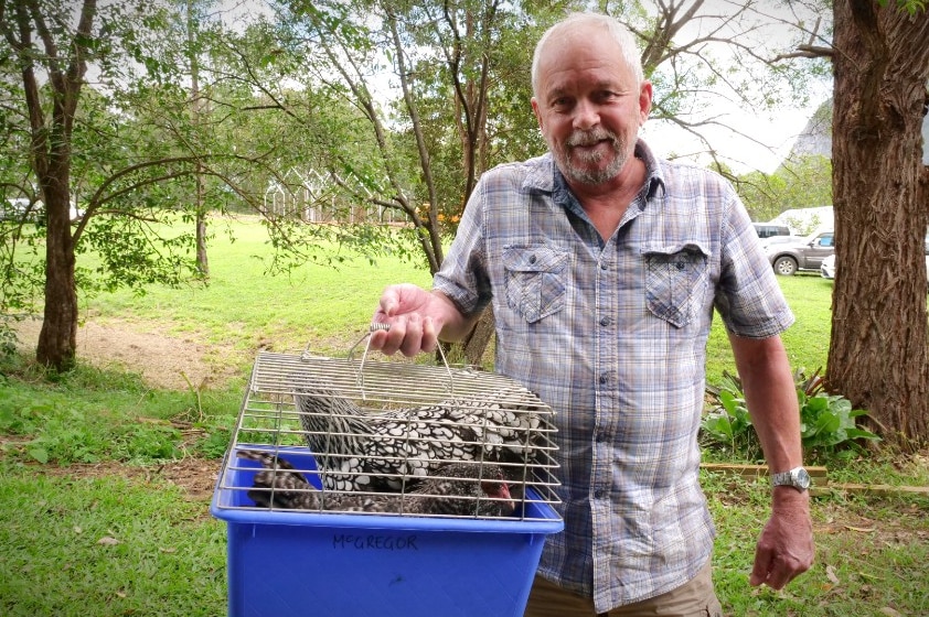 A man holds a cage with two chickens.