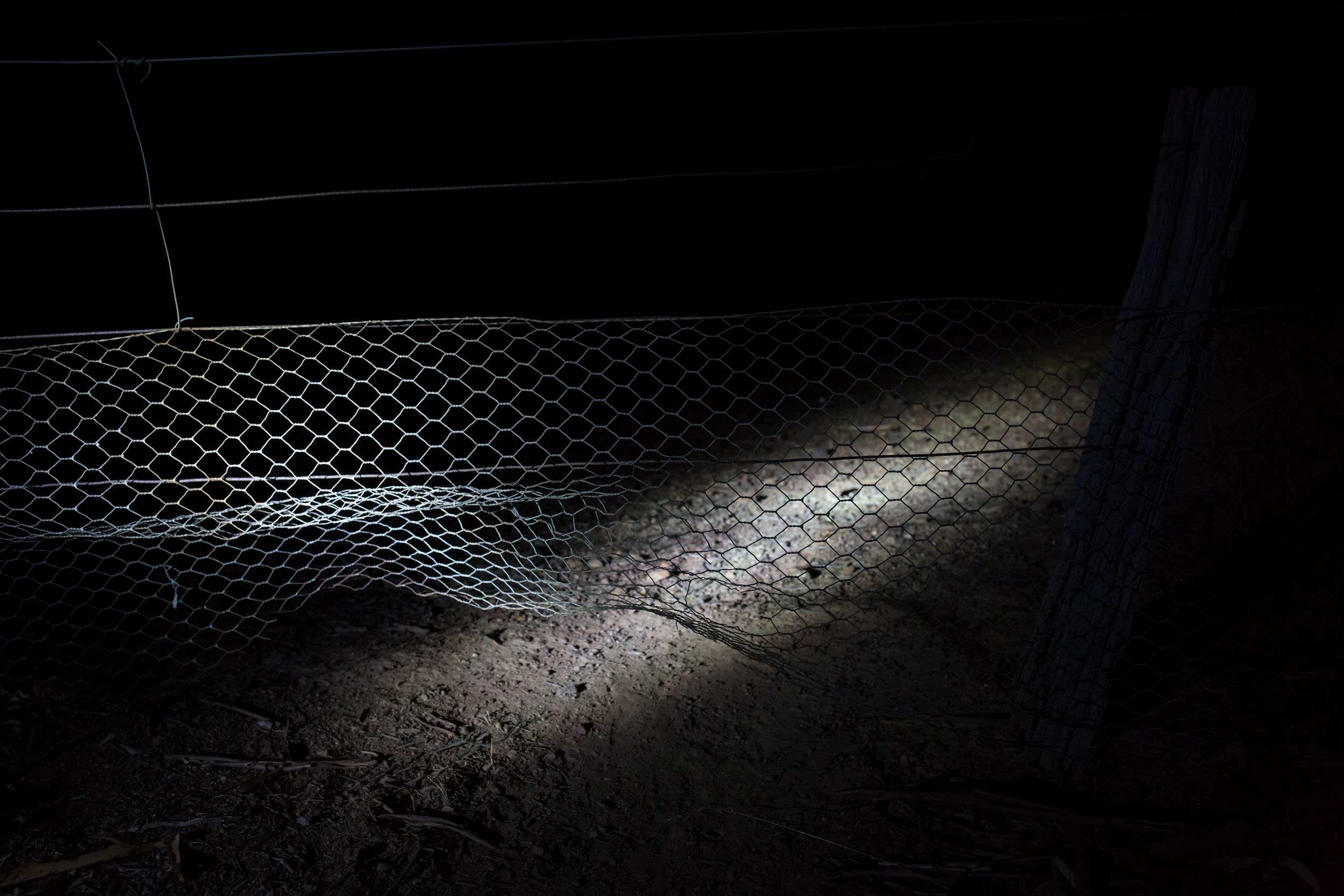 A damaged wire fence is illuminated by truck headlights.