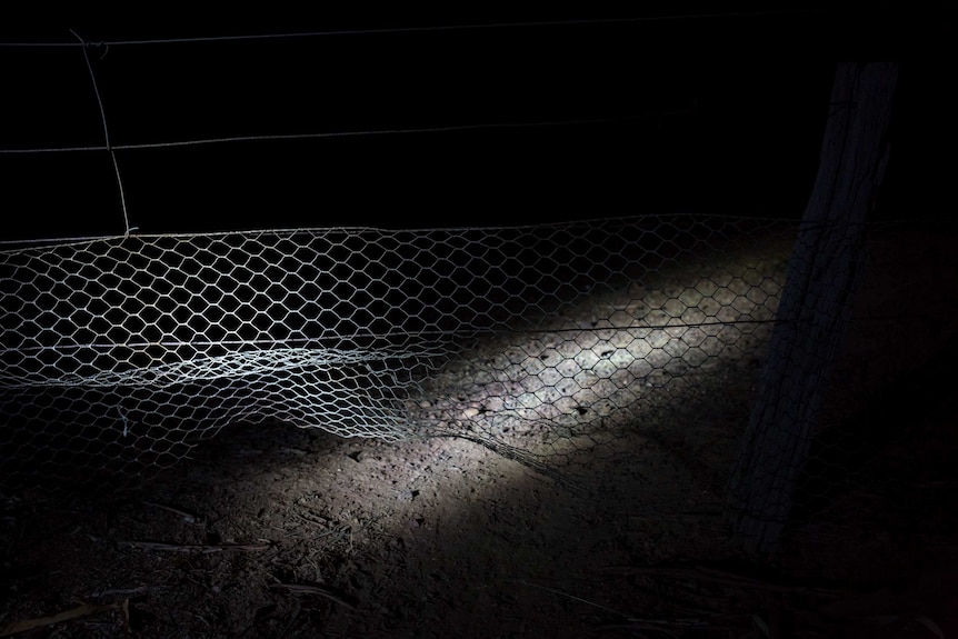 A damaged wire fence is illuminated by truck headlights.