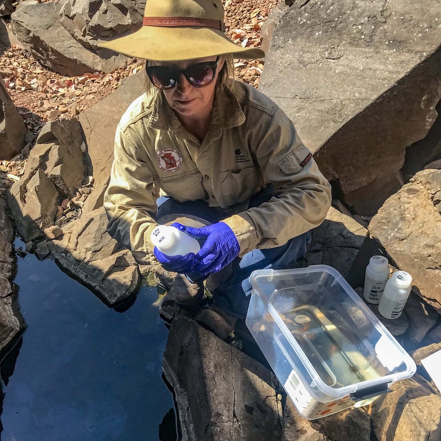 Scientist near waterhole looks into sample glass water bottle
