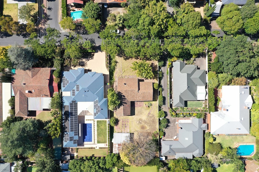 An aerial view of a leafy street with large housing blocks