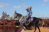 Flinders pastoralist David Hunter roping a calf in the bronco branding event.
