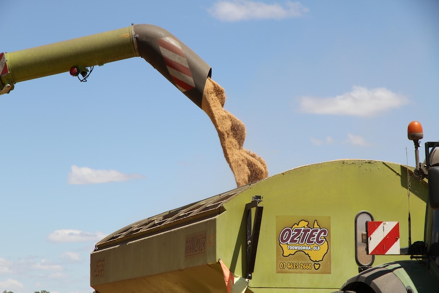 A chute pours grain into a hopper.