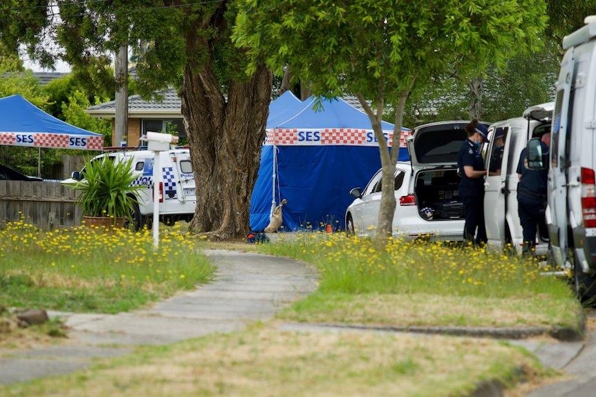 Police officers and cars line a suburban street. An SES tent is set up.
