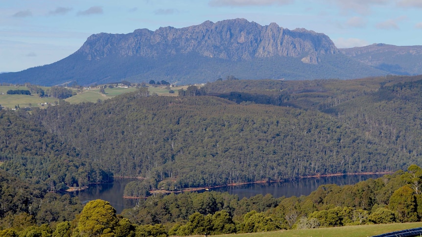 A timber plantation on a property in Tasmania