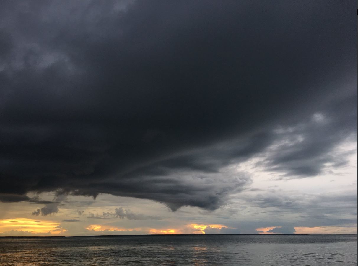 The case of the missing monsoon The case of the missing monsoon