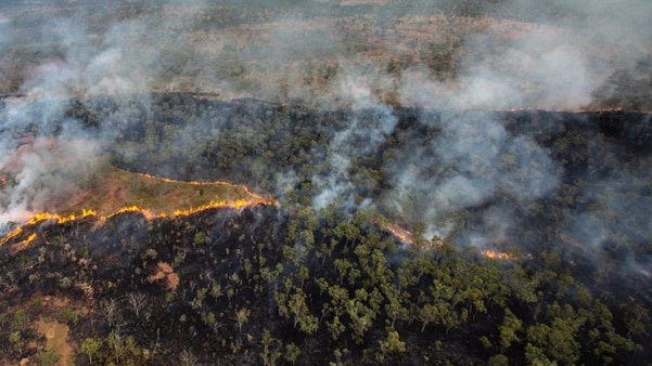 Aerial image shows woodland forest and grassland. A large v-shaped line of flames moves into the woodland