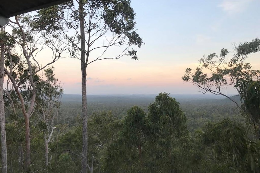 Sunset shot of thick green bush landscape and orange, blue sky.