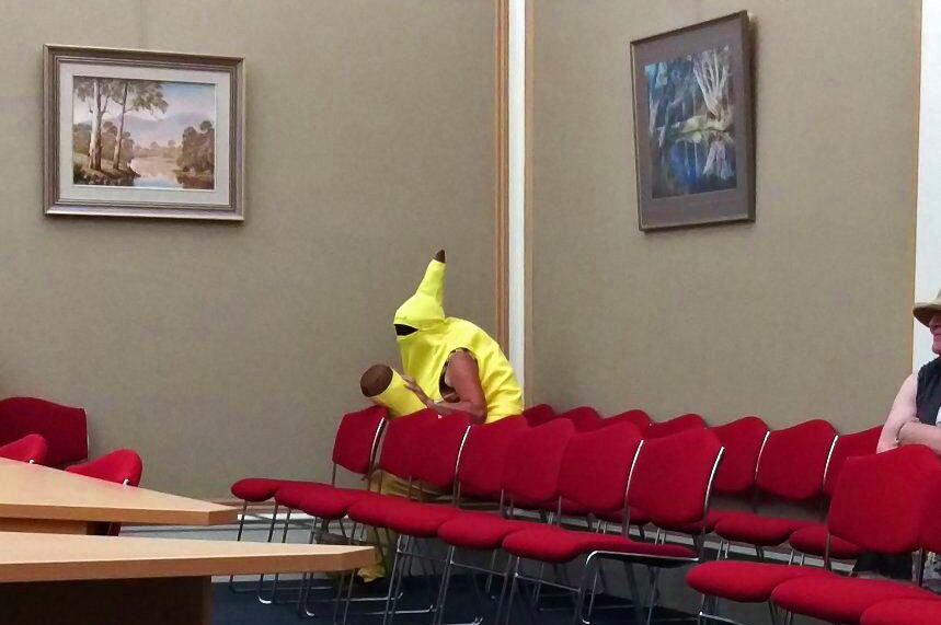 A person dressed as a large banana at the Mitchell Shire Council meeting in Broadford.