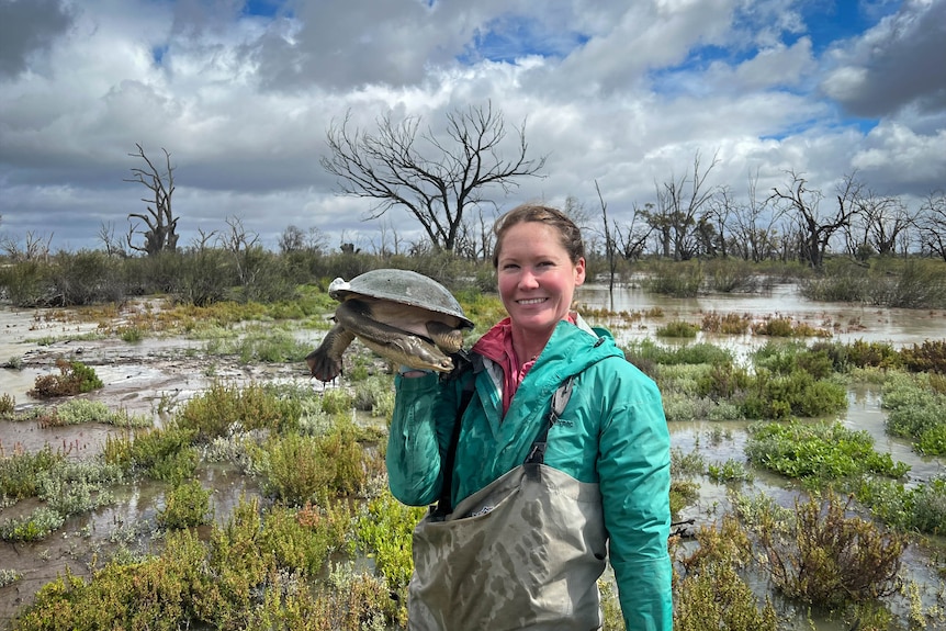 Conservation biologist Deborah Bower in a wetland holding up a large freshwater turtle