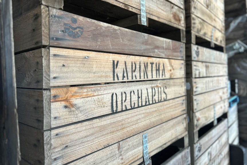 Karintha orchards boxes pilled up on top of each other in the packing shed.