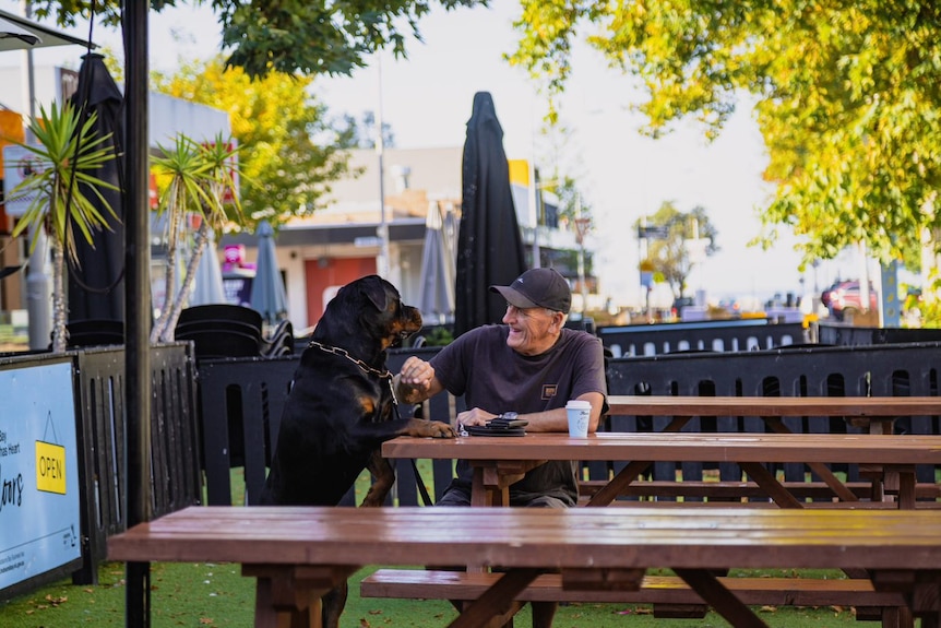 A man sits at an outdoor cafe table and laughs as his dog jumps up