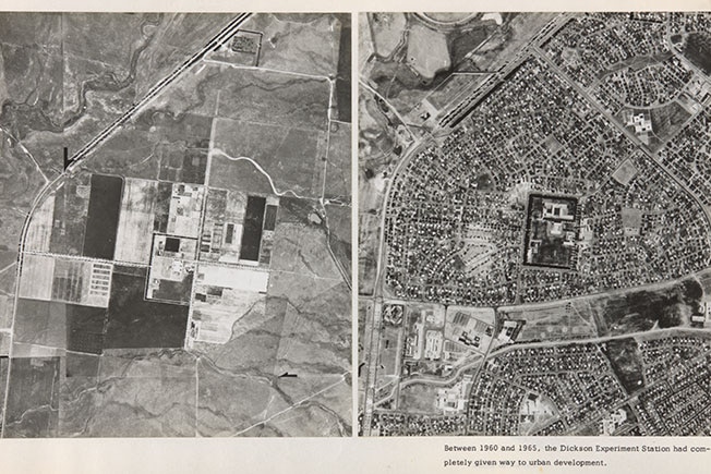 Urban development at the Dickson Experiment Station