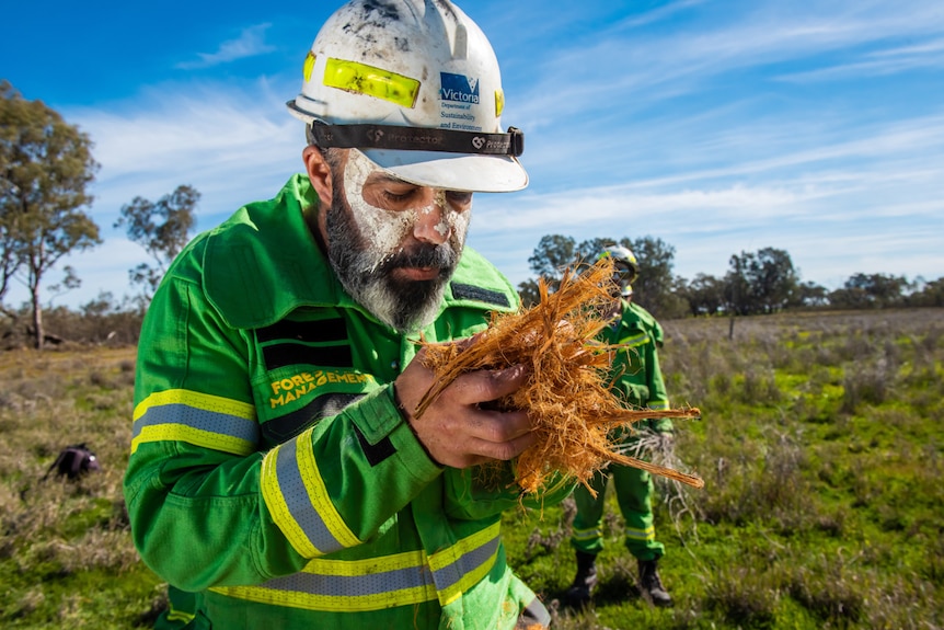 Mick Bourke on location at a cultural burn in Boort in central Victoria.