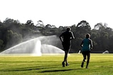 A man and a woman run across a green oval near sprinklers