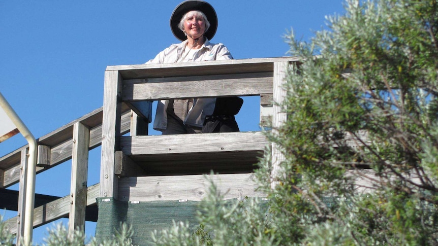 Valerie Wales at Tennyson Dunes