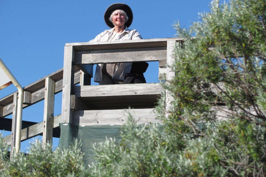 Valerie Wales at Tennyson Dunes