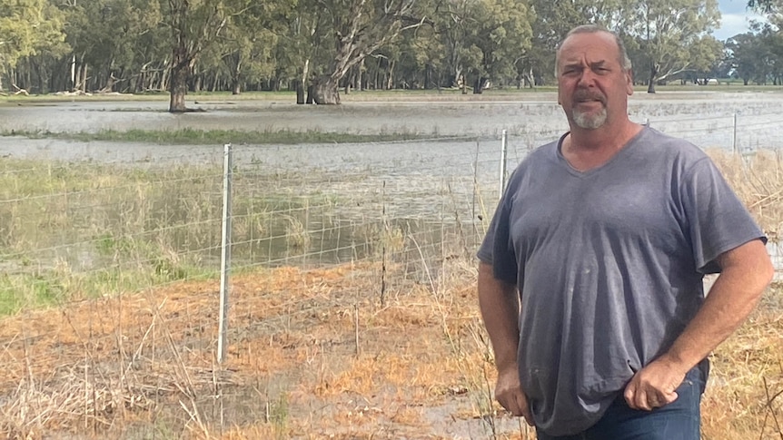 A man in a grey tshirt stands next to a fenceline with a flooded paddock with big river trees behind him