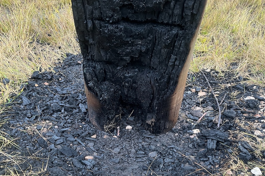 A burnt out electrical pole with ash on the ground
