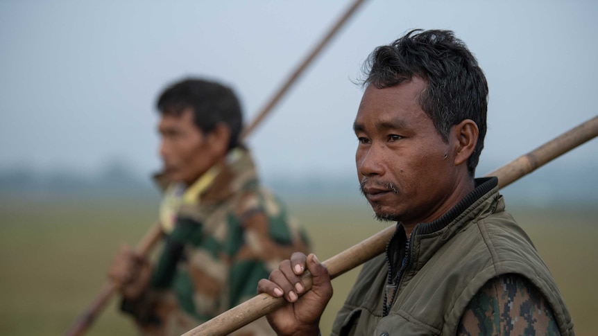 Foreign Correspondent images from Assam, India, for a report on elephants encroaching on farmland, January 2018.