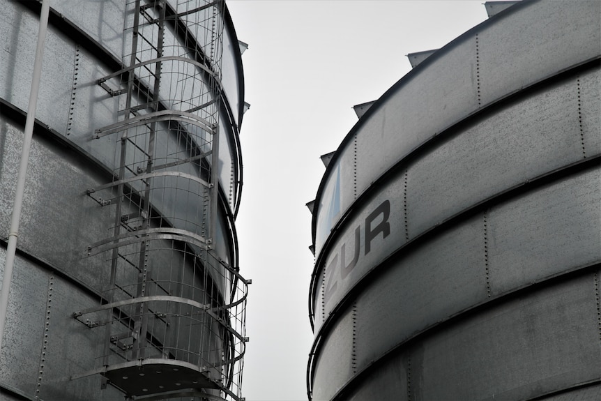 Two grain silos nestling together against a grey sky.
