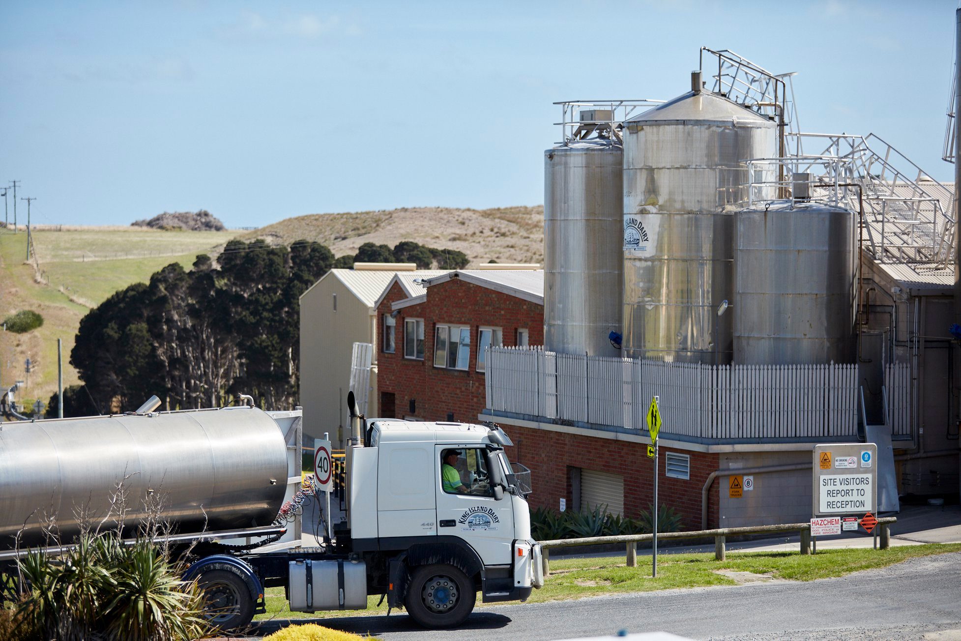 Why did 120yearold Tasmanian brand King Island Dairy fail? ABC News