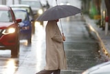A man carrying an umbrella crosses a street in front of cars on a rainy day.
