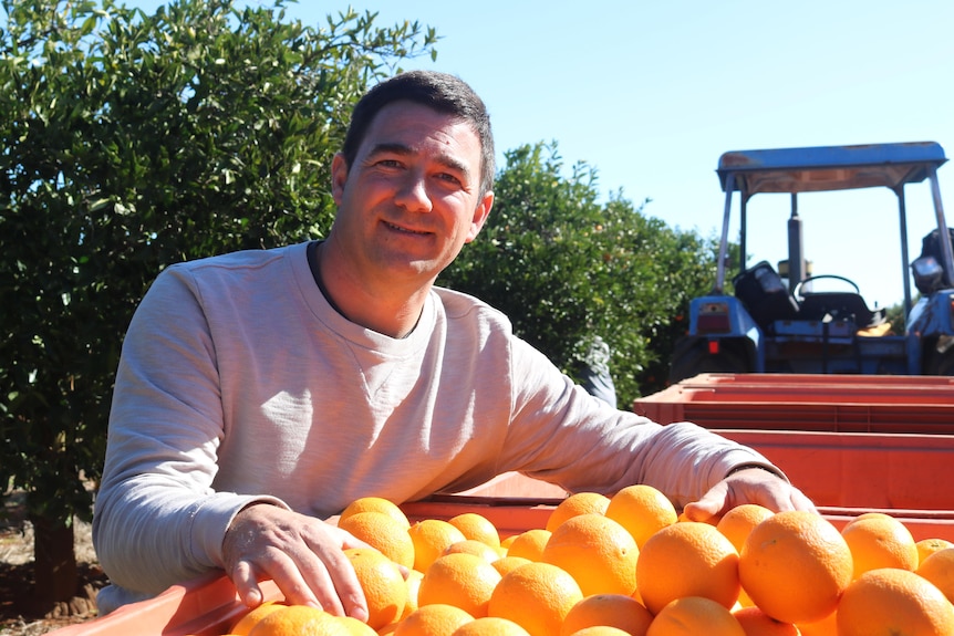 A man in a white shits holds an orange with a tractor in the background