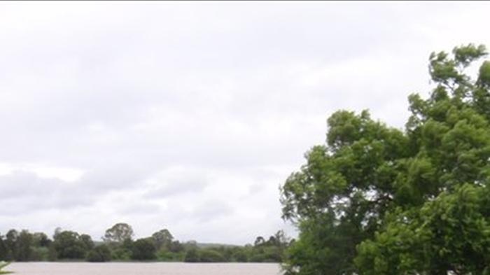 Swollen Clarence river near Grafton