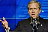 Bush wants allies to stay in Iraq