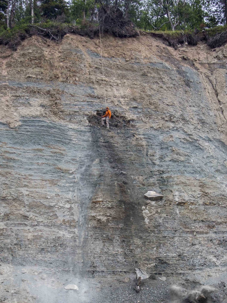 Ilya Bobrovskiy collecting fossils on cliff