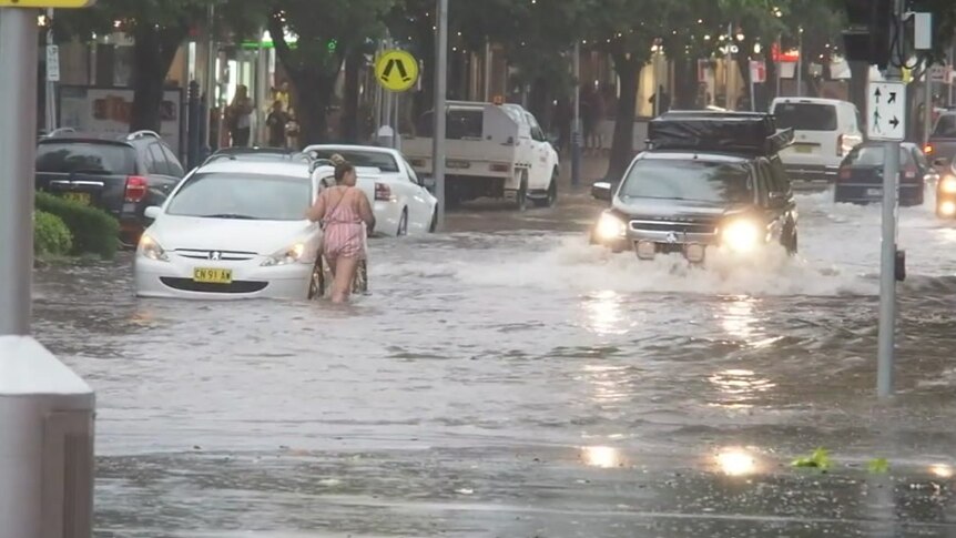 Cars moving slowly through a flooded street in Albury, NSW.