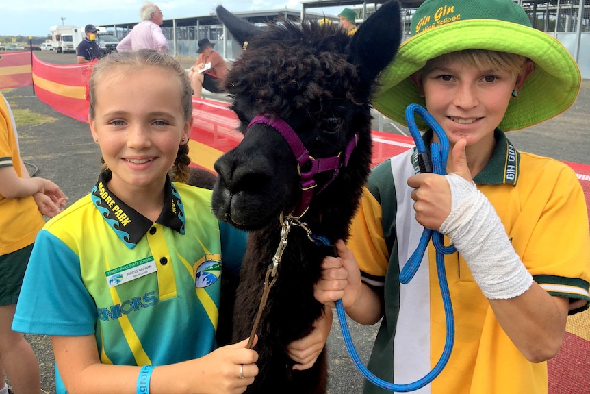 jordis graham with alpaca