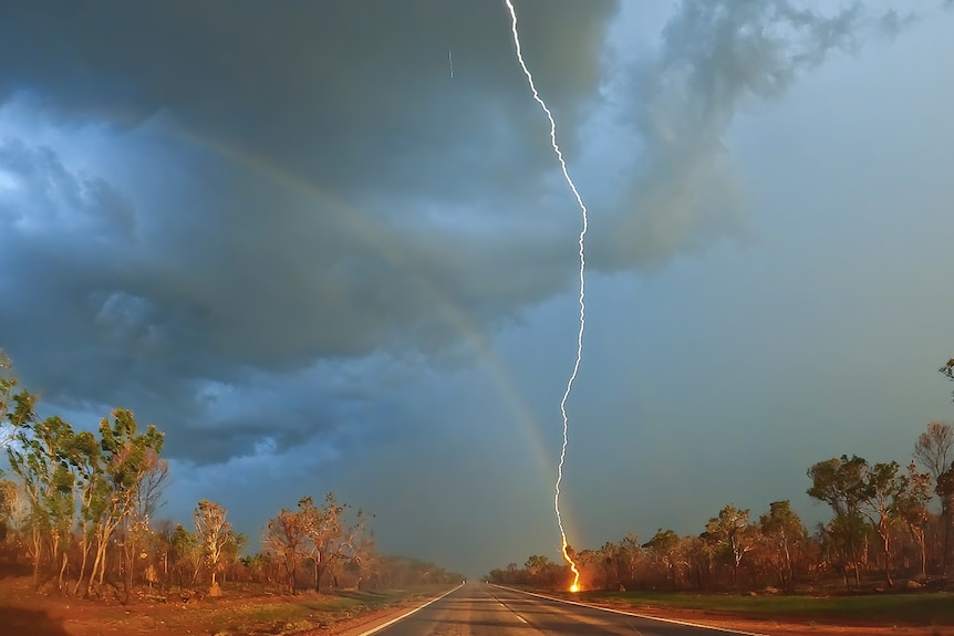 A lightning bolt hitting a small tree creating a red glow next to a main road.