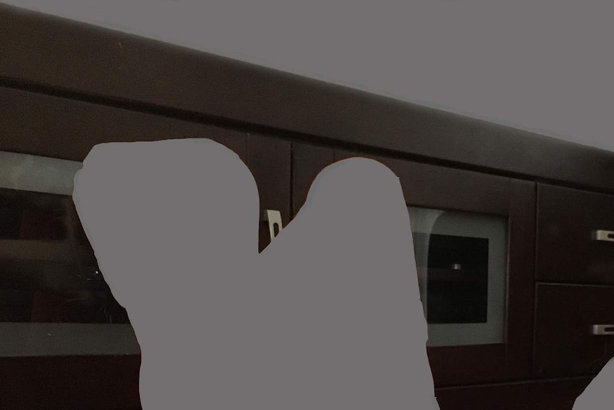 A cabinet is displayed behind the greyed out silhouette of a person.