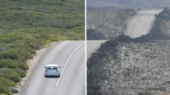 A composite image of a car traveling on a road with green grass on the side, with another photo showing burnt bushland.