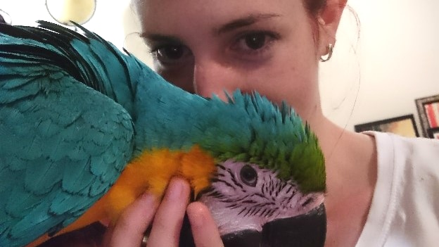 Woman stands up close with macaw