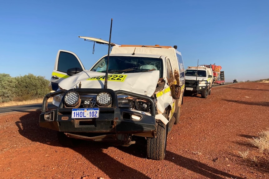 A significantly damaged ute from the front. The bonnet has been crushed by a cattle collision. 