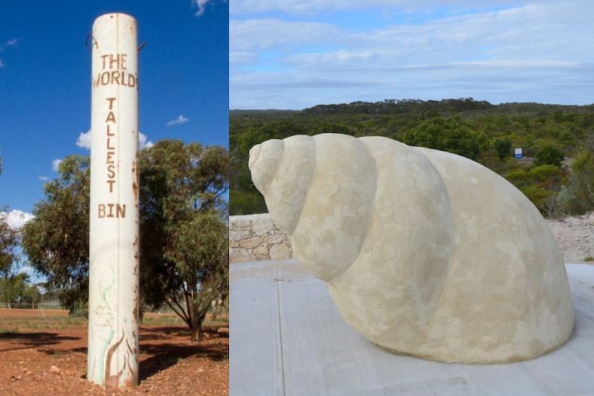 Composite image of the world's tallest bin and biggest snail.