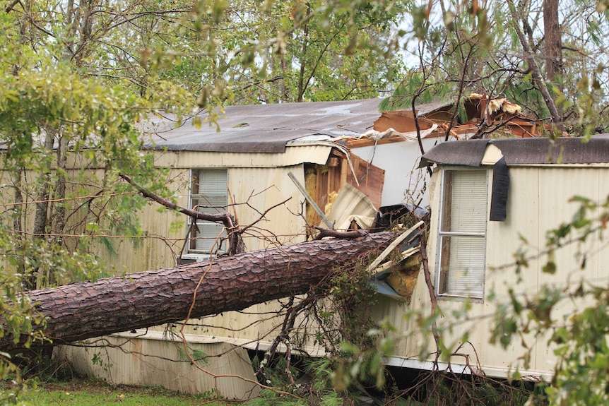 A tree is seen laying through the middle of a mobile home it crashed through.