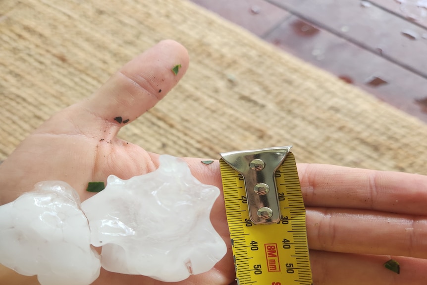 A hand holds two hailstones with a tape measure showing the stones to be about 5 centimetres in length.