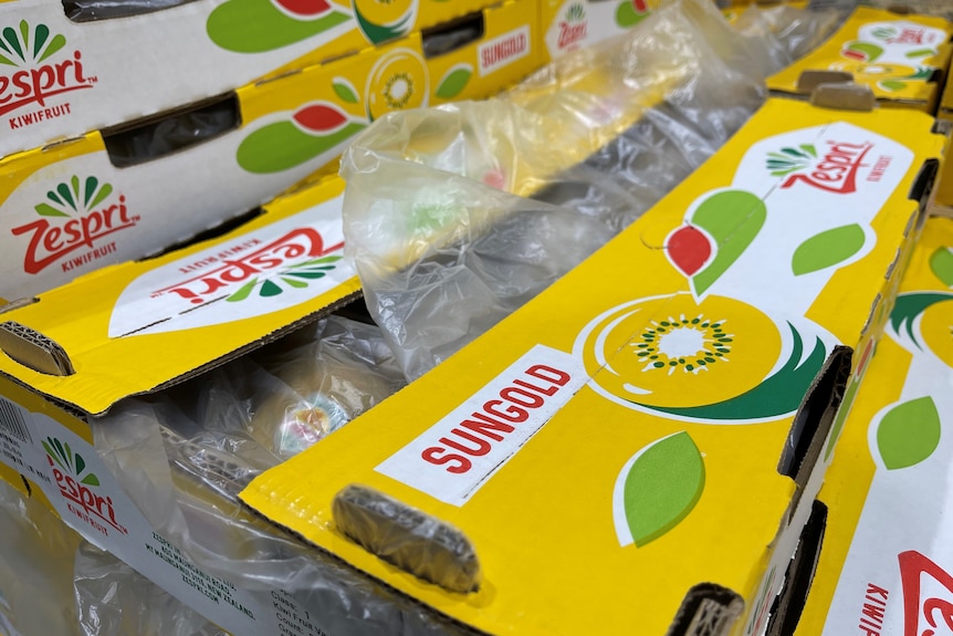 A tray of SunGold kiwifruits in a Chinese supermarket. 