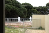 Men clad in protective suits scour an area of Rottnest for asbestos pieces.