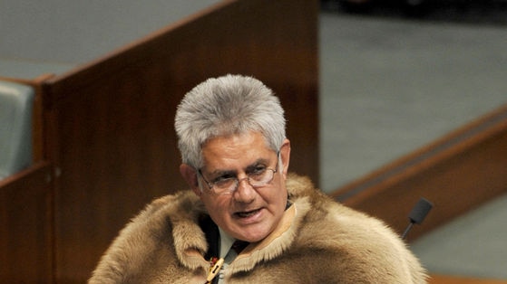 Ken Wyatt delivered his speech wearing a traditional kangaroo-skin cloak
