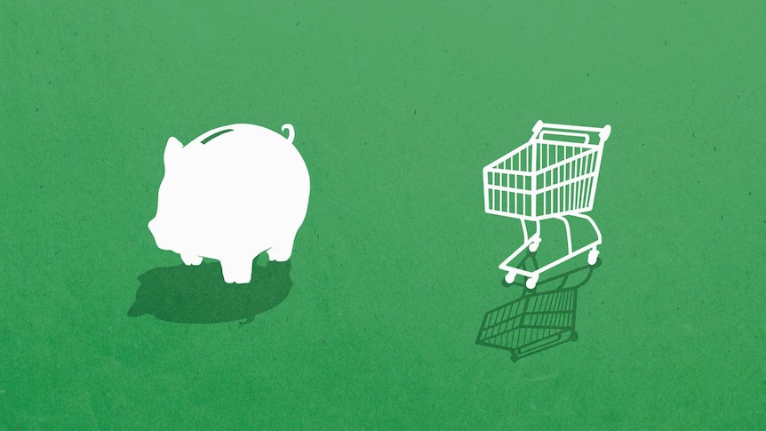 a green background with a piggy bank and shopping trolley