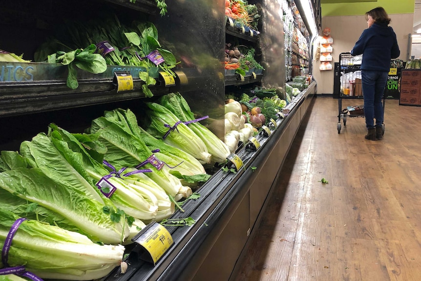 Bunches of romaine lettuce sit on the shelves of supermarket in California as a shopper walks through the aisle pushing trolley.